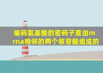 编码氨基酸的密码子是由m rna相邻的两个核苷酸组成的